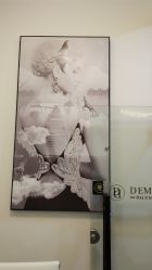 -DEM缔怡美科技美容