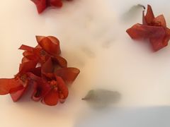 -拾久(朝阳公园店)