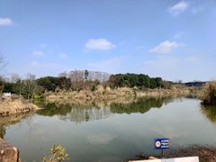 -白鹭湾湿地公园