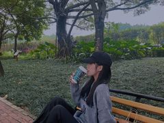 -南宁南湖公园