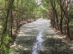 -长白岛森林公园