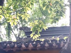 -龙华寺