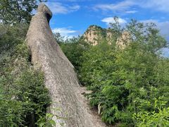 -大岭沟猕猴桃谷风景区