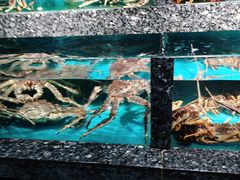 -宝燕海鲜(好爱店)