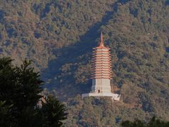 -深圳仙湖植物园