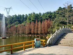 -广州市帽峰山景区