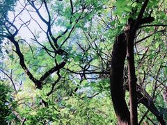 -山城巷传统风貌区