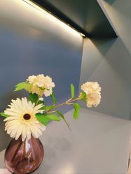 -D.G造型·烫发染发接发