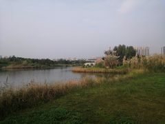 -眉山湿地公园(东坡区)