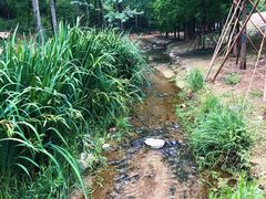 -白水寺森林公园