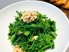 龙须苗拌桃仁-徐记海鲜·宴会(大唐西市|丰庆店)