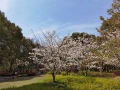 -徐家汇源景区-衡山公园