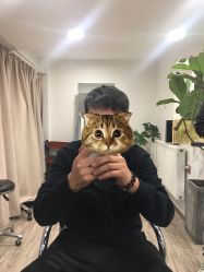 -AFA Hair studio·女士发型设计
