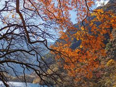 -叠溪松坪沟景区