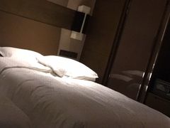 -扬州绿地铂骊酒店