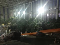 -中家鑫园温泉酒店鑫悦汤泉