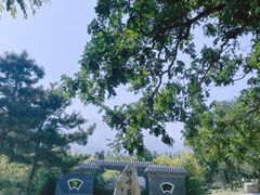 -阳台山自然风景区