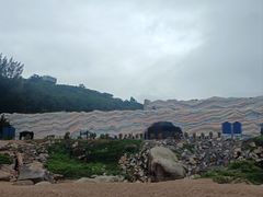 -广东惠东海龟国家级自然保护区