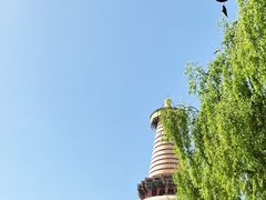 -张掖大佛寺景区