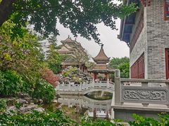 -顺峰山公园