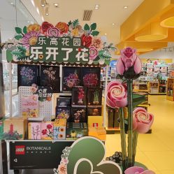 -乐高授权专卖店(朝阳大悦城店)