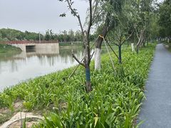 -皇粮浜湿地公园