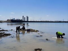 -东疆建设开发纪念公园