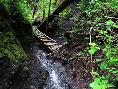 -峡谷浮石林景区