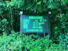 景点-成都大熊猫繁育研究基地