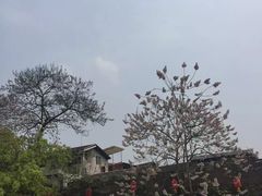 -涞滩古镇
