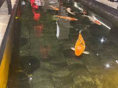 -唐山宴百姓府邸院落中餐