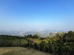 -黄埔油麻山森林公园