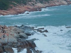 -广东惠东海龟国家级自然保护区