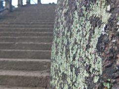 -方岩风景区