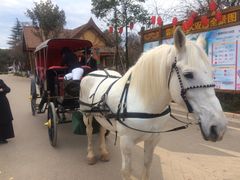 -云南民族大观园