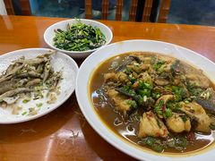 -全乐鱼馆·淳牌有机鱼直营店