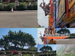 -自贡恐龙博物馆