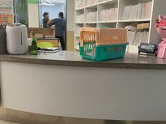 -爱侣宠医·鹦鹉专科·小型哺乳类·异宠专科(灵石路店)