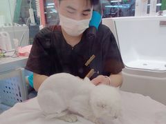 -FAELING PETS美天灵宠物(合生汇店)