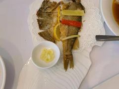 -骏莱海鲜鱼港(五角场店)