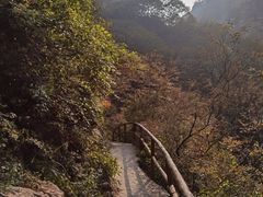 -九龙潭景区