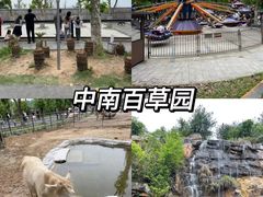 -老李家土菜馆·安吉地标美食