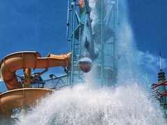 -苏州乐园森林水世界