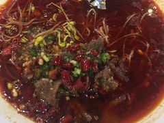 -蒲园食堂(中山大学广州校区南校园店)