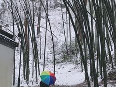 -杭州黄龙洞