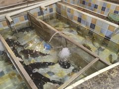 -缘福乡村铁锅炖民宿(八达岭店)