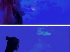 -沈阳海洋探索中心