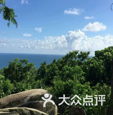 海景大象营图片 - 第2张