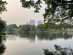 -荔湾湖公园