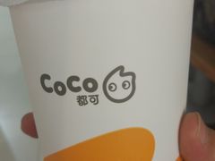 -CoCo都可(久隆店)